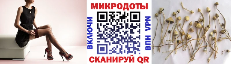 Купить  Демидов  Галлюциногенные грибы мухоморы 